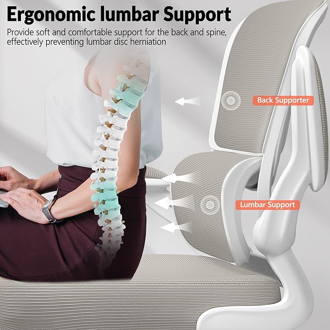 Office Chair Ergonomic Desk Chair, Breathable Mesh Comfy Chair with Lumbar Support, Computer Chair, Home Desk Chair with Flip-up Armrests, Gaming Chair for Adults Home Office (LightGray)