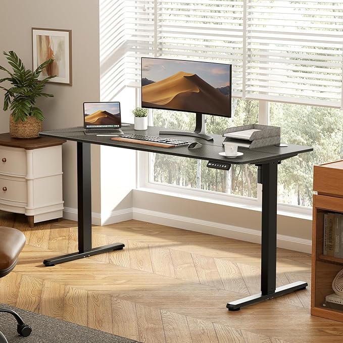 48" Electric Standing Desk Adjustable Height, Ergonomic Sit Stand Computer Desk for Home Office, Sturdy Motorized Workstation with Memory Controller & Timer, Carbon Fiber Black