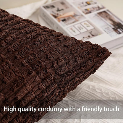 Aegero Pack of 2 Corduroy Decorative Throw Pillow Covers 22x22 Inch Soft Striped Pillow Covers Modern Farmhouse Home Decor for Sofa Living Room Couch Bed（Dark Brown）