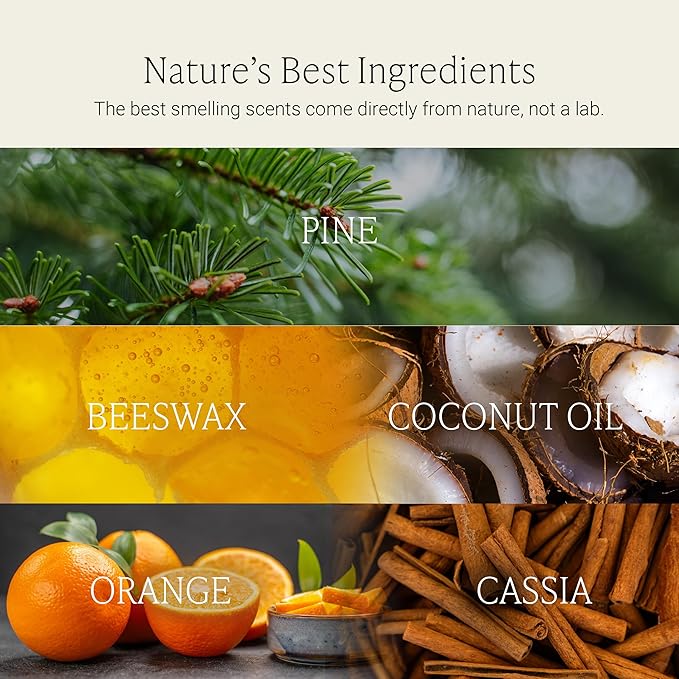 Fontana Candle Co Wood Wick Beeswax Jar Candles, Citrus Peel & Pine - Made with Coconut Oil & Pure Essential Oils – Clean Burn, Long Lasting and Non-Toxic Candles for Home & Room Decor