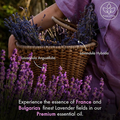 Majestic Pure Essential Oil with Glass Dropper - 100% Pure and Natural - Essential Oils for Diffuser, Aromatherapy, Soap and Candle Making, Lavender Essential Oil, Lavender Oil, 1 Fl Oz