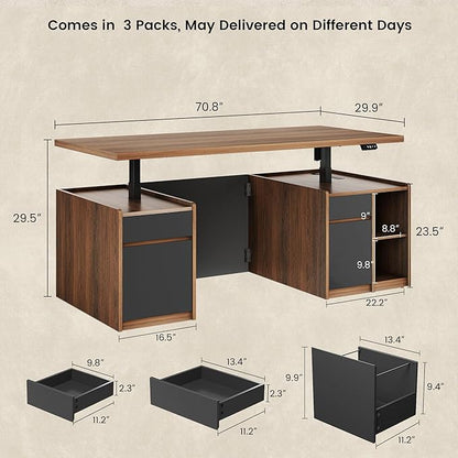 Executive Standing Desk with Drawers & Storage, 71'' Adjustable Electric Stand Up Wood Desk with Privacy Panel, AC/USB, File Cabinet, Large One-Piece Destop for Home Office, Black Walnut