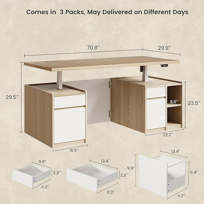 Executive Standing Desk with Drawers & Storage, 71'' Adjustable Electric Stand Up Wood Desk with Privacy Panel, AC/USB, File Cabinet, Large One-Piece Destop for Home Office, Light Walnut