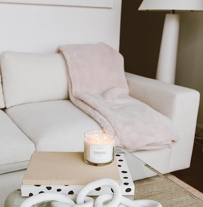 Calyan Wax Co. Aspen & Fog 3 Wick Scented Candle - 43 Hour Burn - Luxury 3 Wick Soy Candles - Non Toxic Soy Wax Candles - Long Lasting Large Glass Jar Candle for Home - 14.9oz