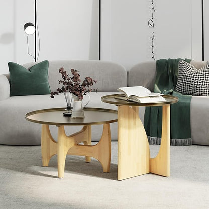 ACEDÉCOR Solid Wood Coffee Table Set with End Table, Luxurious Brushed Gold Coffee Tables 2 in 1, Nesting Coffee Table Set for Living Room Apartment