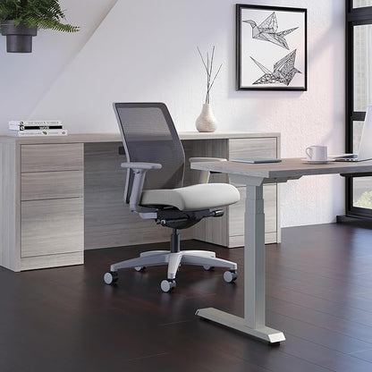 HON Ignition 2.0 Mesh Ergonomic Office Chair, Synchro-Tilt Control with Seat Slider, Home Office Desk Chairs, Adjustable Arms and Lumbar Support, Charcoal Mesh Back, Ash Seat Fabric, Titanium Frame
