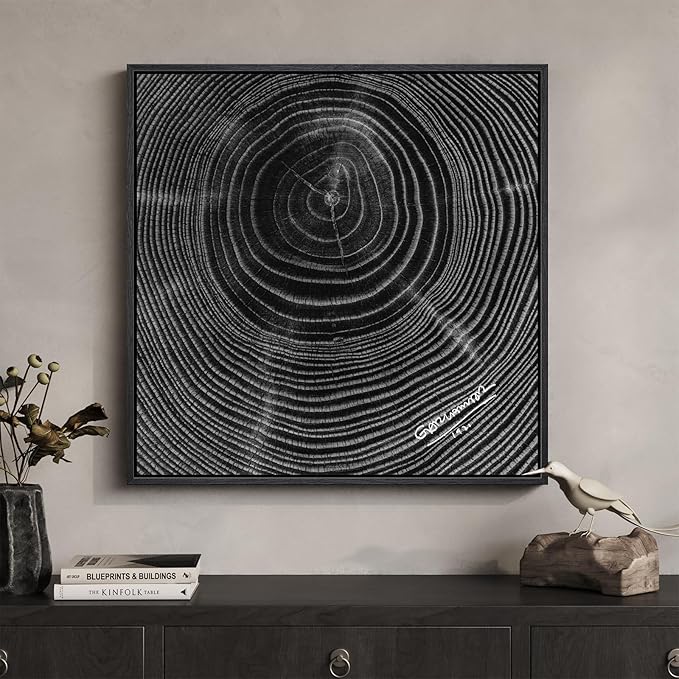 Framed Black and White Abstract Wall Art, 1 Piece Square Modern Canvas Prints Artwork for Walls, Minimalist Abstract Tree Ring Pictures for Bedroom Dining Room Lounge Living Room Wall Decor 24x24 In