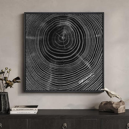 Framed Black and White Abstract Wall Art, 1 Piece Square Modern Canvas Prints Artwork for Walls, Minimalist Abstract Tree Ring Pictures for Bedroom Dining Room Lounge Living Room Wall Decor 24x24 In