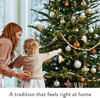 Thymes Frasier Fir Reed Diffuser Set – Includes Reeds, Fragrance Oil, and Frosted Glass Bottle – Fragrance Oil Diffuser – Room Fresheners – Luxury Home Decor – Green & Clear (Pine Needle, 4 fl oz)