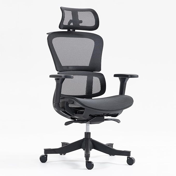 Ergonomic Office Chair with Independent Lumbar Support, Adjustable Height & 360° Swivel for Home Office Workstation (Black)