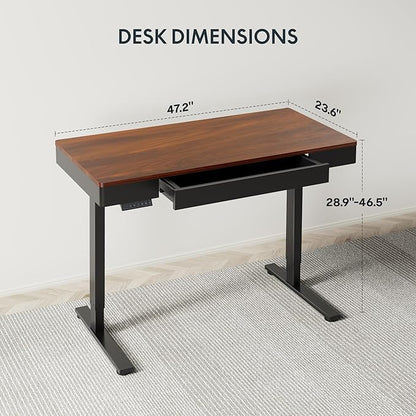FLEXISPOT Q5 Standing Desk with Drawer, 48 x 24 Inch Electric Adjustable Height Stand Up Desk with Storage Organizer, Whole Piece Wooden Desktop for Home, Office, Computer Workstation, Dark Walnut