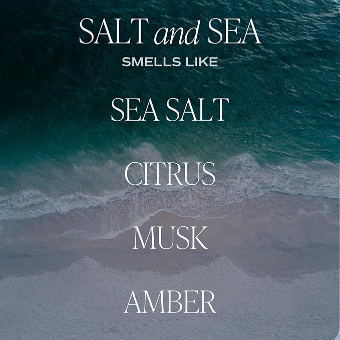 Sweet Water Decor Salt & Sea Reed Diffuser Set - Sea Salt Citrus & Musk Amber Scent Diffuser - Reed Diffusers for Home with Long Lasting Fragrance - Non-Toxic Oil Reed Diffuser - Made in The USA