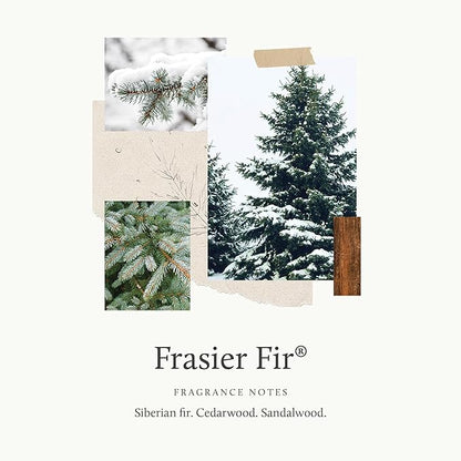 Thymes Frasier Fir Reed Diffuser Set – Includes Reeds, Fragrance Oil, and Frosted Glass Bottle – Fragrance Oil Diffuser – Room Fresheners – Luxury Home Decor – Silver (Statement, 4 fl oz)