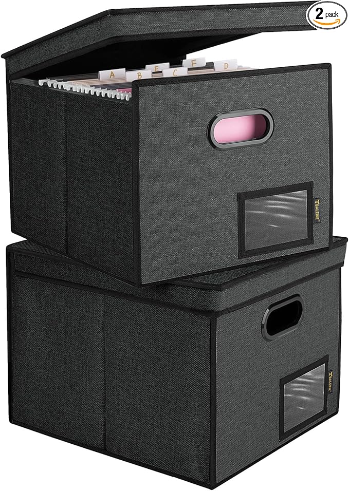 BALEINE File Organizer Box with Lid, Collapsible File Folder Organizer with Plastic Slide, Hanging File Folder Box for Office Document Storage (Tab Friendly, 2 Pack, Black)
