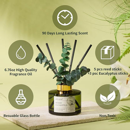 Airkeep Reed Diffuser Set with 6.76 fl oz Moss Eucalyptus Scent Essential Oils and 3 Leaves & 8 Diffuser Sticks,Bathroom Shelf Decor & Air Freshener, House Bedroom Office Decor & Gifts