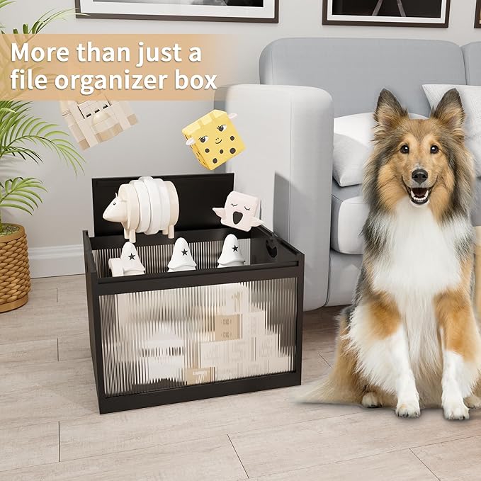 LONTAI Black Bamboo & Acrylic File Box with Removable Lid, Letter/Legal Size, Hanging Folders, Dustproof, Home Office Storage