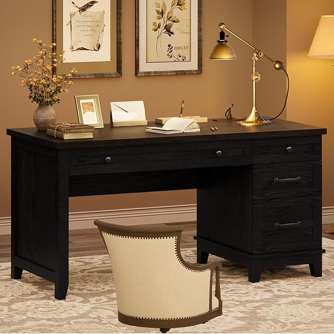 53.5" Farmhouse Home Office Desk with File Cabinet, Wooden Executive Desk with Power Outlet, Work Desk with Drawers, Traditional Wood Desk for Home and Office, Black