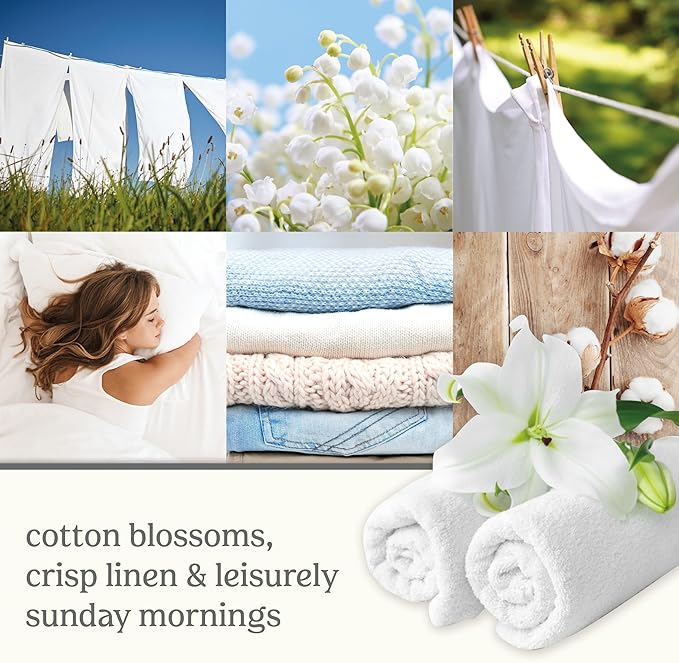 Yankee Candle ScentPlug Refill Clean Cotton, 0.625 Fl OZ (Pack of 4)