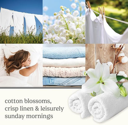 Yankee Candle ScentPlug Refill Clean Cotton, 0.625 Fl OZ (Pack of 4)