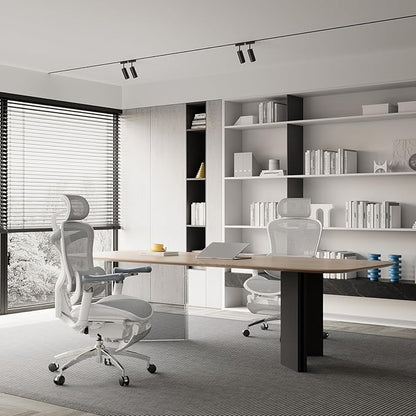 SIHOO Doro C300 Pro Ergonomic Office Chair with Footrest, Ultra-Soft 6D Armrests, Dynamic Lumbar Support, and Seat Depth Adjustment for Office (Grey)