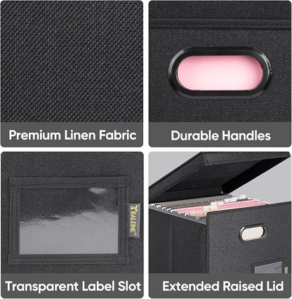 BALEINE File Organizer Box with Lid, Collapsible File Folder Organizer with Plastic Slide, Hanging File Folder Box for Office Document Storage (Tab Friendly, 2 Pack, Black)