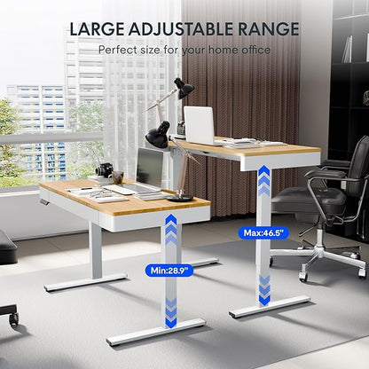 FLEXISPOT Q5 Standing Desk with Drawer, 48 x 24 Inch Electric Adjustable Height Stand Up Desk with Storage Organizer, Whole Piece Wooden Desktop for Home, Office, Computer Workstation, Maple