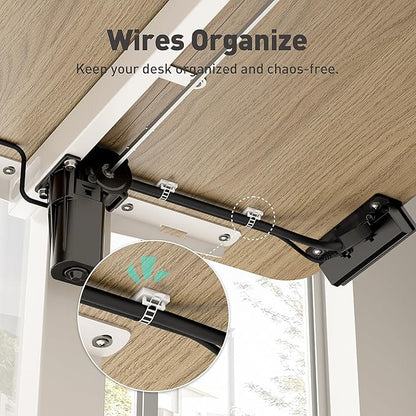 Electric Standing Desk Adjustable Height 40 x 24 Inch, Small Sit Stand Desk, Stand up Desk for Home Office, Computer Workstation (Spliced Desktop,Oak)