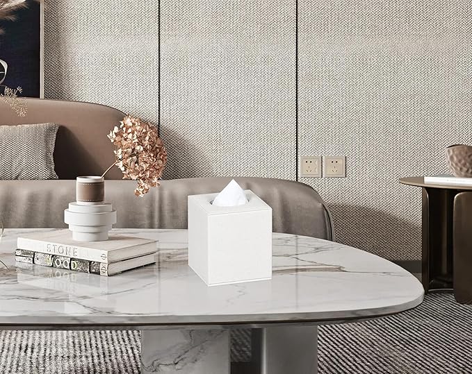 Colylan Tissue Box Cover Square Tissue Box Holder for Bathroom (Beige)