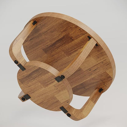 Tribesigns Round Coffee Table, 2-Tier Circle Coffee Table with Storage, Modern Wooden Accent Center Table for Living Room, Thick Tabletop & Base (Rustic Brown)