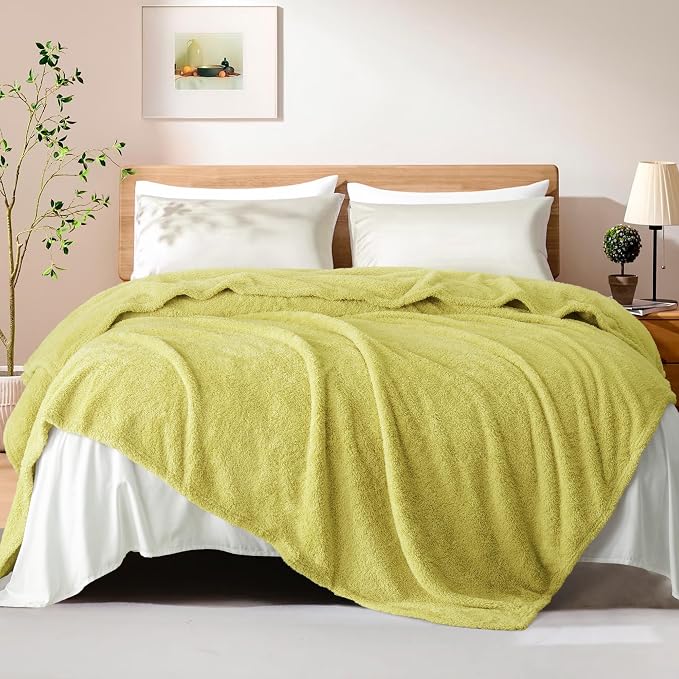 Exclusivo Mezcla Fleece Bed Blankets Queen Size, Ultra Soft, Lightweight and Fuzzy Light Green Blanket for Women, Home Decor, 90x90 Inches
