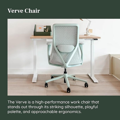 Branch Verve Chair - High Performance Executive Office Chair with Contoured Back and Adjustable Lumbar Support - High Density Foam Cushion and 3D Knit Back - Fits 5' to 6', Up to 275 lbs, Mint