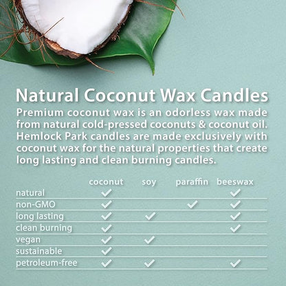 Hemlock Park Crackling Wood Wick Candle Handcrafted with Natural Coconut Wax (Standard 8 oz, Blue Sage)