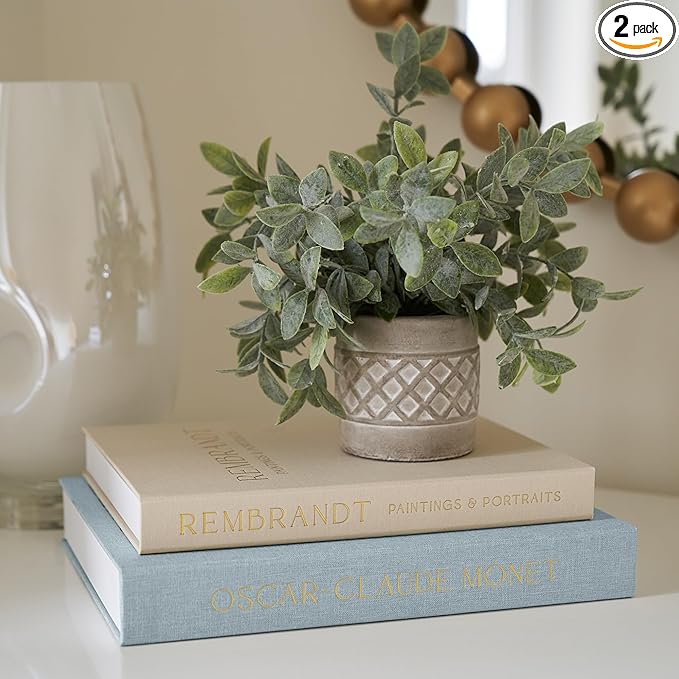 Beautiful Decorative Books - Set of 2 Linen Boxes Enhance Your Coffee Table, Bookshelf or Mantel Decor - Stylish Fake/Faux Books for Modern Home Decoration, Photo Storage and as a Keepsake Box