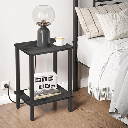 TUTOTAK End Table, Set of 2, Side Table, Nightstand, 2-Tier Storage Shelf, Sofa Table for Small Space, Living Room, Bed Room, Charcoal Grey TB01BY035(2PCS)
