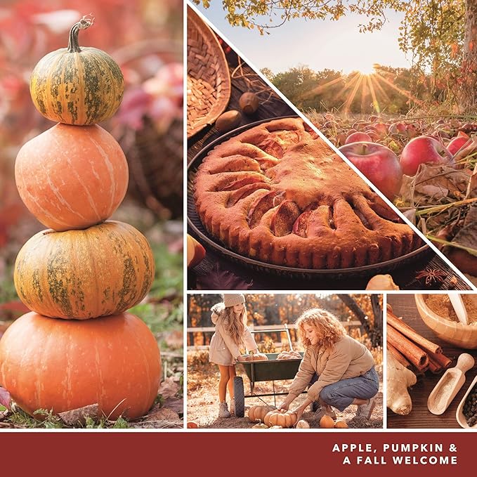Yankee Candle ScentPlug Refill (2.5 Ounce (Pack of 4), Apple Pumpkin)