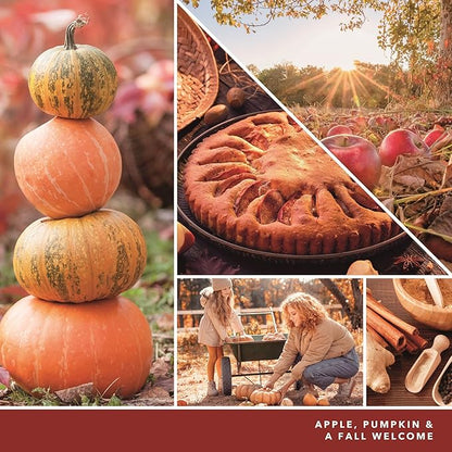 Yankee Candle ScentPlug Refill (2.5 Ounce (Pack of 4), Apple Pumpkin)