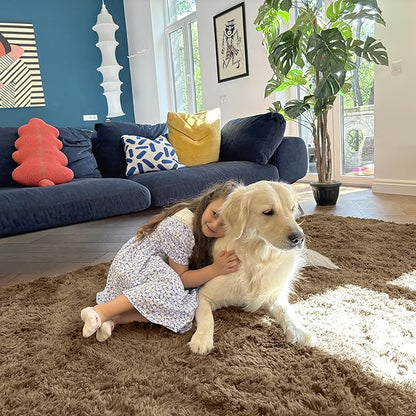 OLANLY Area Rugs for Living Room Bedroom, Machine Washable 4x5.9 ft Soft Fluffy Shaggy Bedside Rug, Indoor Floor Carpet for Kids Girls and Boys, Dorms, Nursery Rooms, Home Decor Aesthetic, Taupe