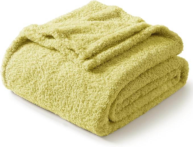 Exclusivo Mezcla Fleece Bed Blankets Queen Size, Ultra Soft, Lightweight and Fuzzy Light Green Blanket for Women, Home Decor, 90x90 Inches