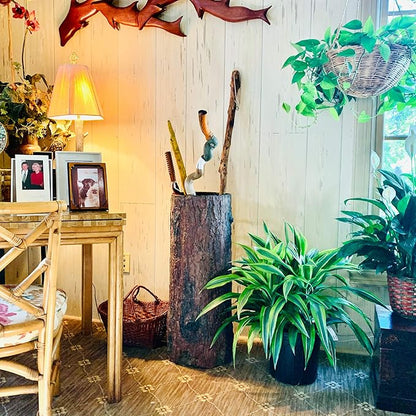 🌳 Vintage Farmhouse Umbrella Stand. Unique Indoor / Outdoor Walking Stick & Umbrella Holder. Rustic Home Entryway Log Bin.