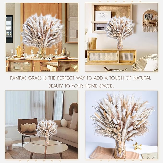 300PCS Natural Dried Pampas Grass Boho Home Decor Bouquet Phragmites Dried Flowers Bouquet for Wedding Floral Arrangements Home Decorations (300PCS)