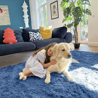 OLANLY 5x7 Machine Washable Large Area Rugs for Living Room, Bedroom, Soft Fluffy Shaggy Bedside Rug, Indoor Floor Carpet for Kids Girls and Boys, Dorms, Nursery, Home Decor Aesthetic, Blue