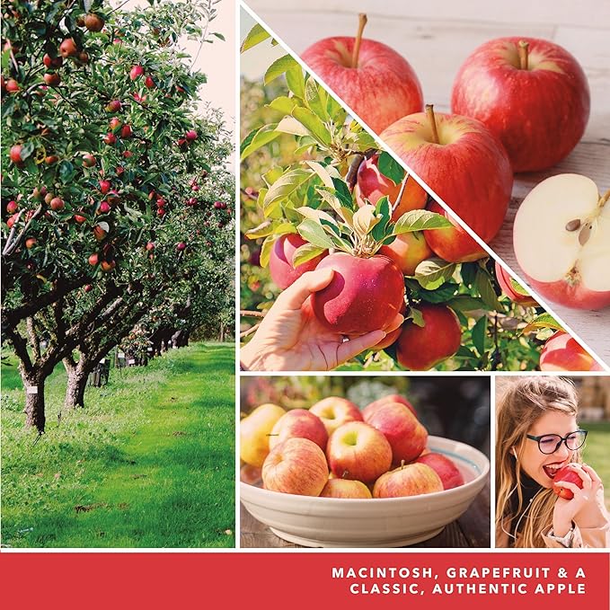 Yankee Candle Macintosh ScentPlug Refill 4-Pack