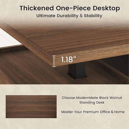Executive Standing Desk with Drawers & Storage, 71'' Adjustable Electric Stand Up Wood Desk with Privacy Panel, AC/USB, File Cabinet, Large One-Piece Destop for Home Office, Black Walnut