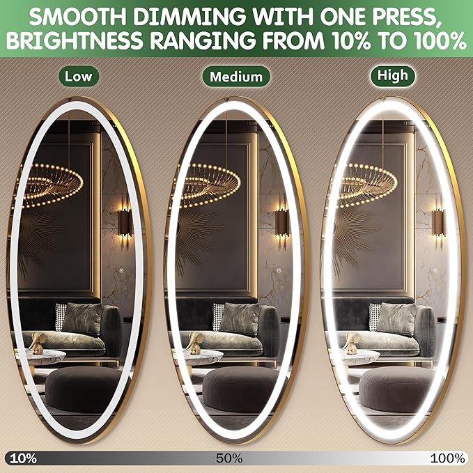 FENNIO 70" x 36" Large Wall Mounted Mirror with LED Lights, Oval Full Length LED Lighted Full Body Dressing Mirror for Bedroom, Salon, Brushed Aluminum Frame, Tempered Glass