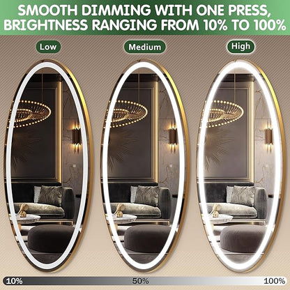 FENNIO 70" x 36" Large Wall Mounted Mirror with LED Lights, Oval Full Length LED Lighted Full Body Dressing Mirror for Bedroom, Salon, Brushed Aluminum Frame, Tempered Glass