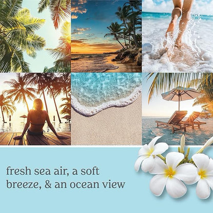 Yankee Candle Beach Escape Scented Signature 13oz Medium Jar 2-Wick Candle Over 35 Hours of Burn Time