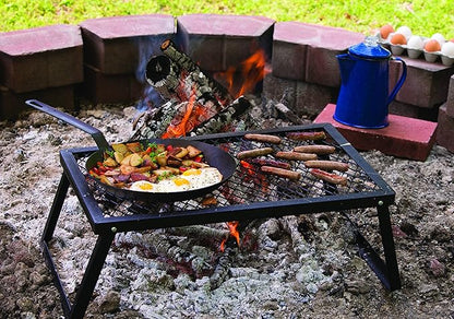 Lodge Pre-Seasoned Carbon Steel Skillet - Use in the Oven, on the Stove, on the Grill, or Over a Campfire - 10 Inch